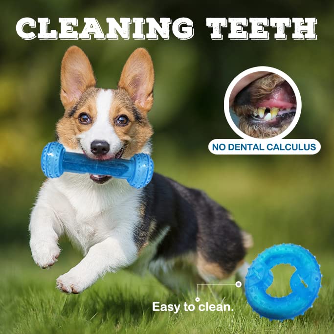 Natural Teething Rubber Chew Toys for Puppies - 2-Pack Freezable Cooling Canine Toys for Teeth Cleaning & Oral Health, Ideal for Small & Medium Dogs - Perfect for Home, Travel, and Outdoor Use