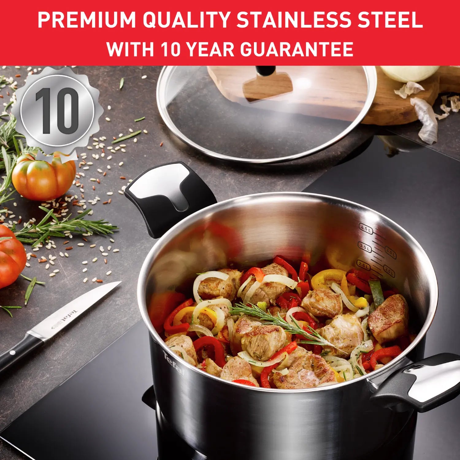Tefal Emotion Induction Stainless Steel Stockpot 22cm/6L - Premium Cookware for Soups, Stews & Pasta - Perfect for Family Dinners & Entertaining