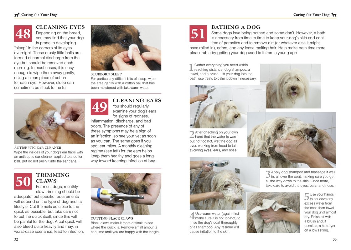 101 Essential Dog Care Tips: A Complete Guide for Healthy & Happy Pets - Training, Grooming & Nutrition Advice for Puppies & Adult Dogs (Perfect for New Pet Owners & Experienced Dog Lovers)