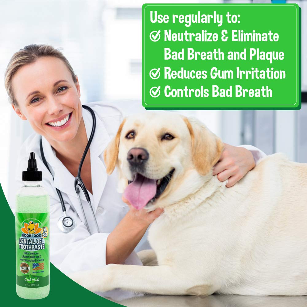 Bodhi Dog 50 Pack Dual Headed Toothbrushes & Dental Gel - Pet Dental Care Kit for Dogs