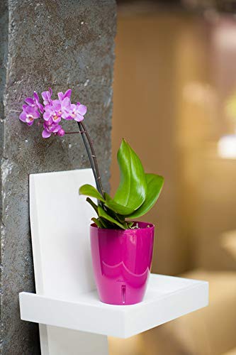 4.9 Inch Self Watering Orchid Pot with Wick System - Violet Decorative Planter for Orchids | Excellent Aeration, Drainage & Water Level Indicator | Perfect for Home, Office & Indoor Gardening