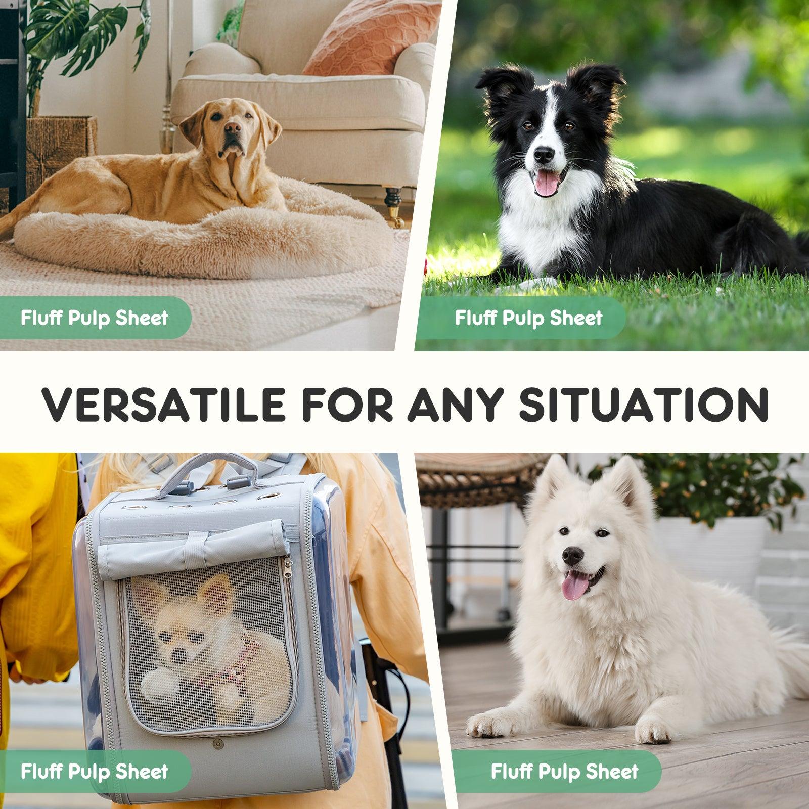 Premium Disposable Dog Training Pads - 22