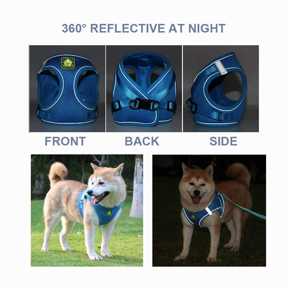 Leconpet Step-in Dog Harness with Leash Set - Breathable Mesh Reflective Vest for Small & Medium Dogs & Puppies (Blue, XS) - Perfect for Walking, Training & Outdoor Adventures