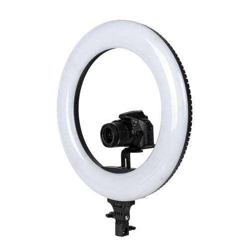 Promaster Specialist LEDR600B 18-Inch Bi-Color LED Ring Light - Perfect for Photography, Videography, YouTube & Live Streaming