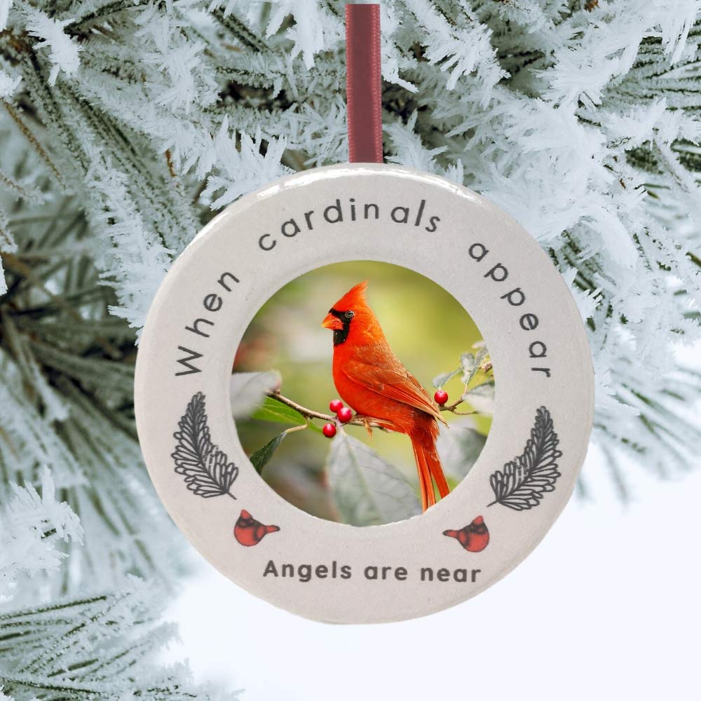 Cardinal Memorial Photo Ornament - Sympathy Gift for Loss of Loved One - Angel Remembrance Keepsake with Feather Accents - Perfect for Funeral, Memorial Service & Home Decoration
