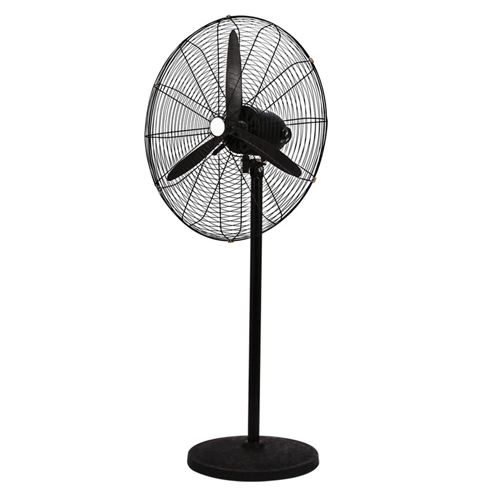Powerful and Quiet 3-Speed Standing Oscillating Pedestal Fan with Copper Motor for Home, Office, Bedroom & Living Room Cooling - Black