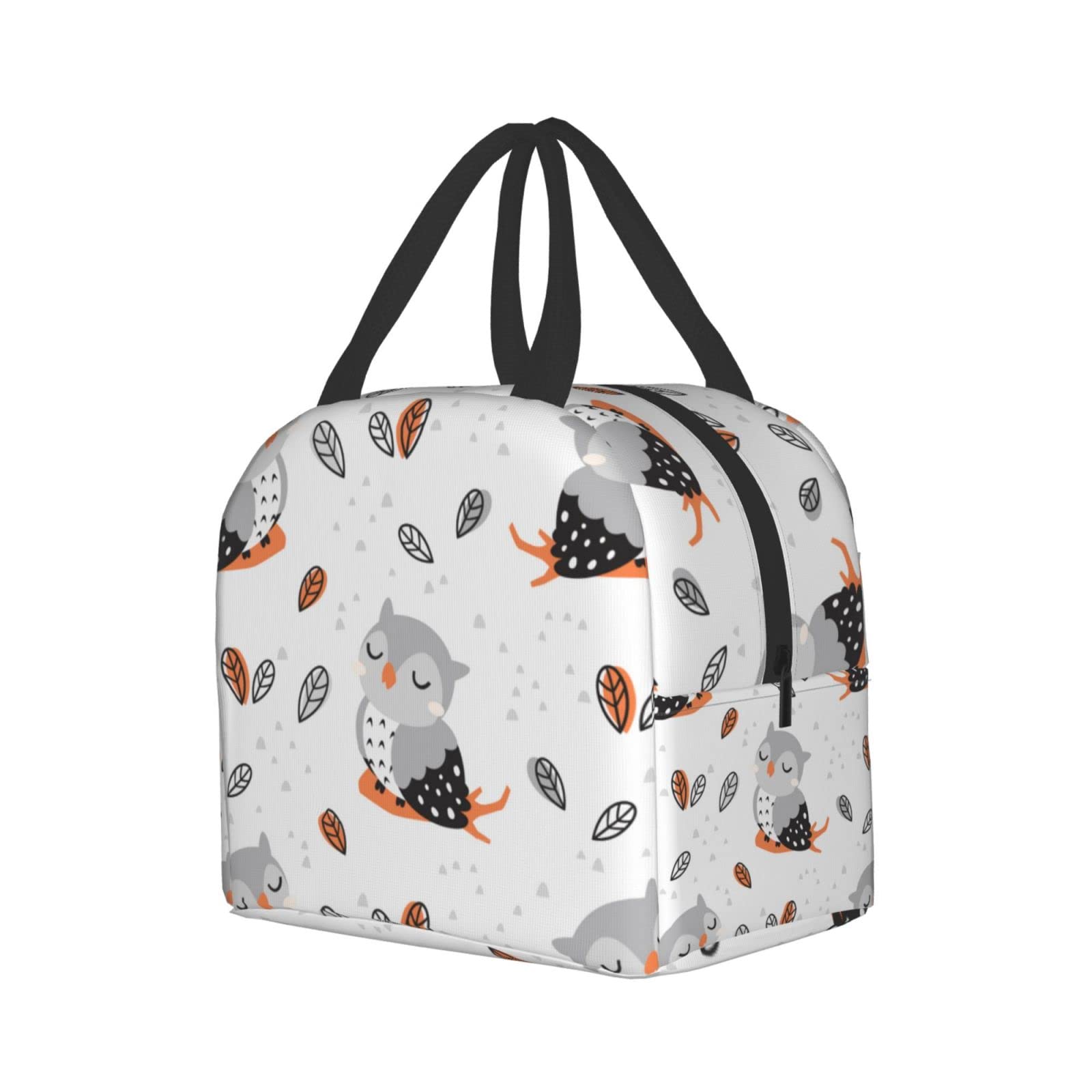 Insulated Owl Lunch Box for Women & Men - Reusable Thermal Lunch Bag for Office, School, Camping, Hiking, Picnic, Beach & Travel - Cute Animal Design Lunch Tote