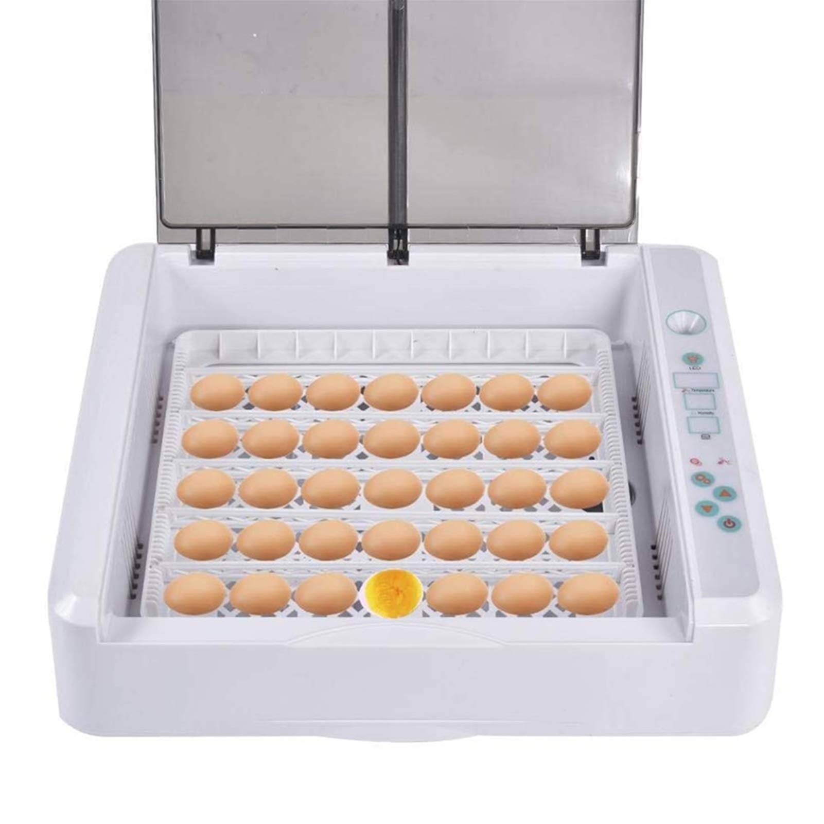 36 Egg Digital Incubator with Automatic Turning & Temperature Control - LED Egg Candler for Hatching Chicken, Duck, Goose, Quail, Turkey - Perfect for Home Poultry Farming & Backyard Hatching Projects