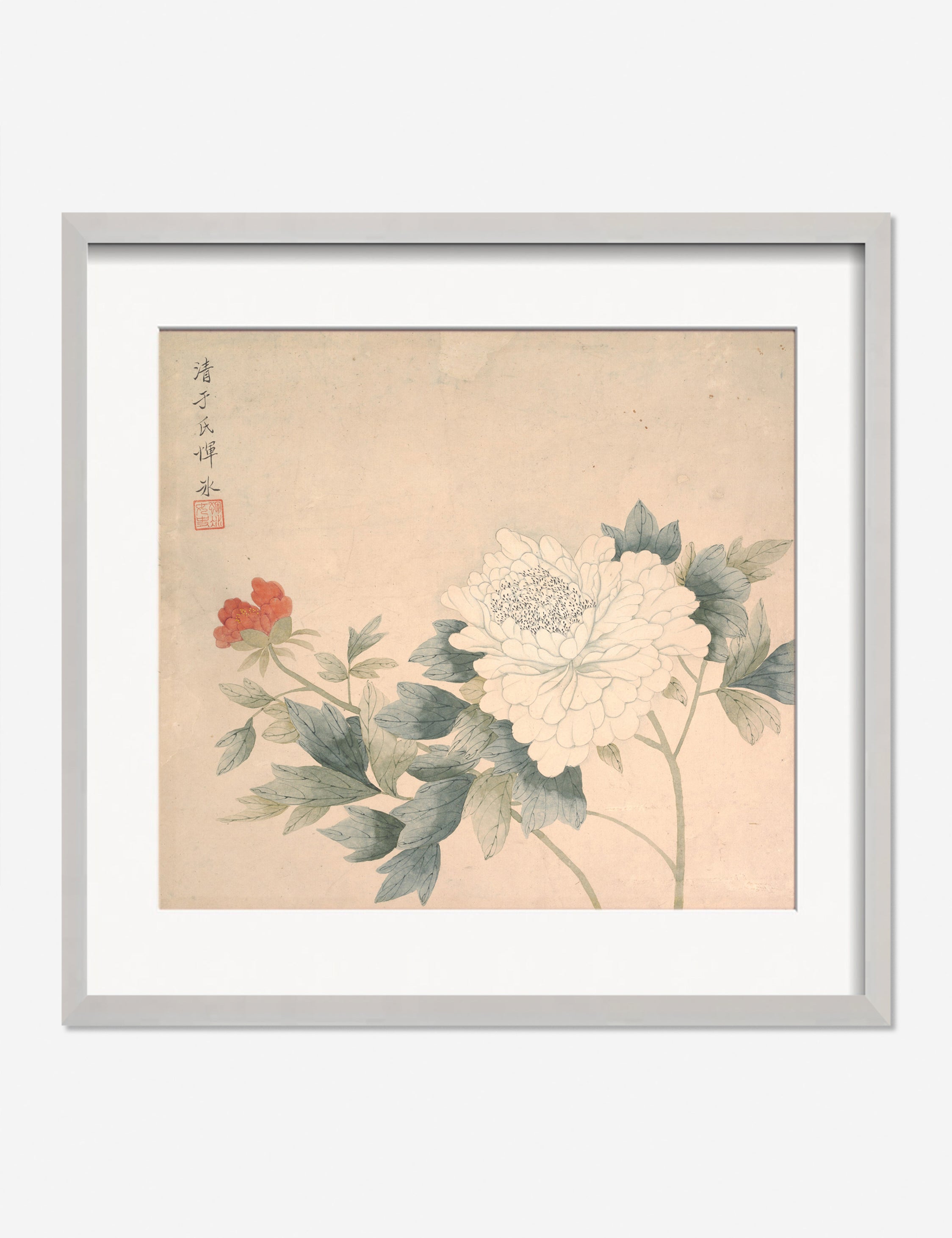 Flower Study 2 Print by Yun Bing - Botanical Wall Art Decor for Living Room, Bedroom & Office - Perfect for Home Decor & Gift Giving