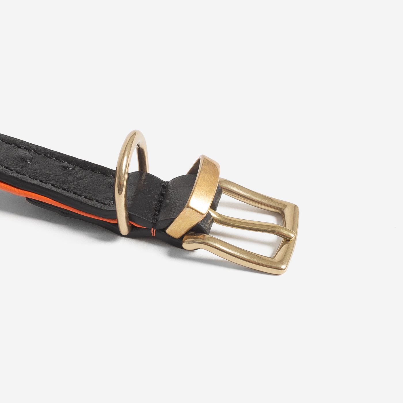 Premium Ostrich Leather Dog Collar - Black & Orange - Durable & Stylish Pet Accessory by Lords & Labradors - Perfect for Daily Walks, Training & Fashionable Outfits