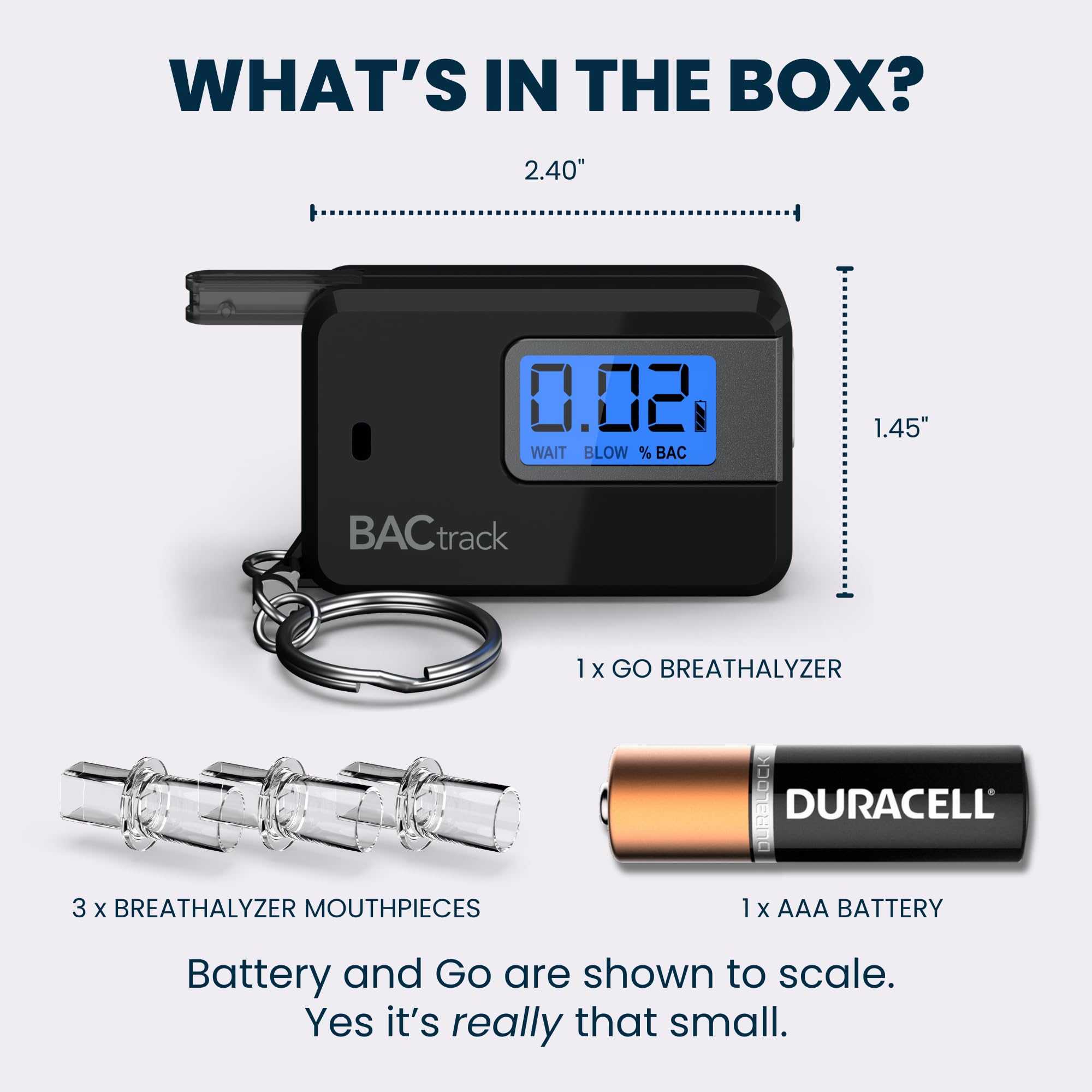 BACtrack Go Keychain Breathalyzer (Black) - Ultra-Portable Personal Alcohol Tester with Keyring | Perfect for Night Out, Driving Safety & Workplace Sobriety Checks