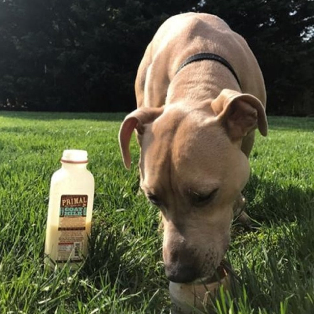Organic Raw Goat Milk - Frozen, Grass-Fed, USDA Certified | Perfect for Smoothies, Baby Formula & Healthy Recipes