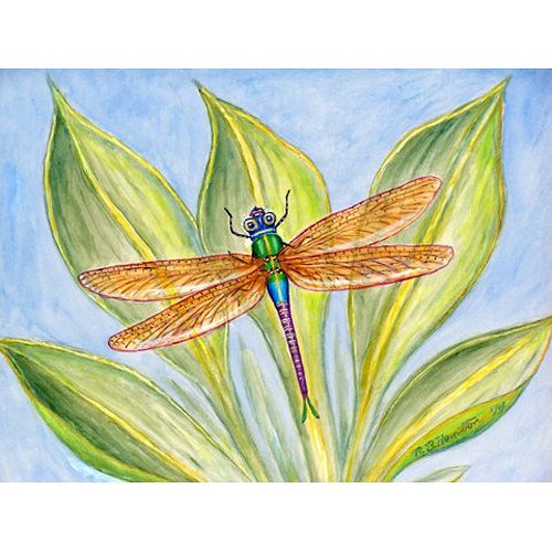 Betsy Drake DM299G Dragonfly Doormat 30x50 Inches - Non-Slip Welcome Mat for Front Door, Porch, Patio & Outdoor Entryway