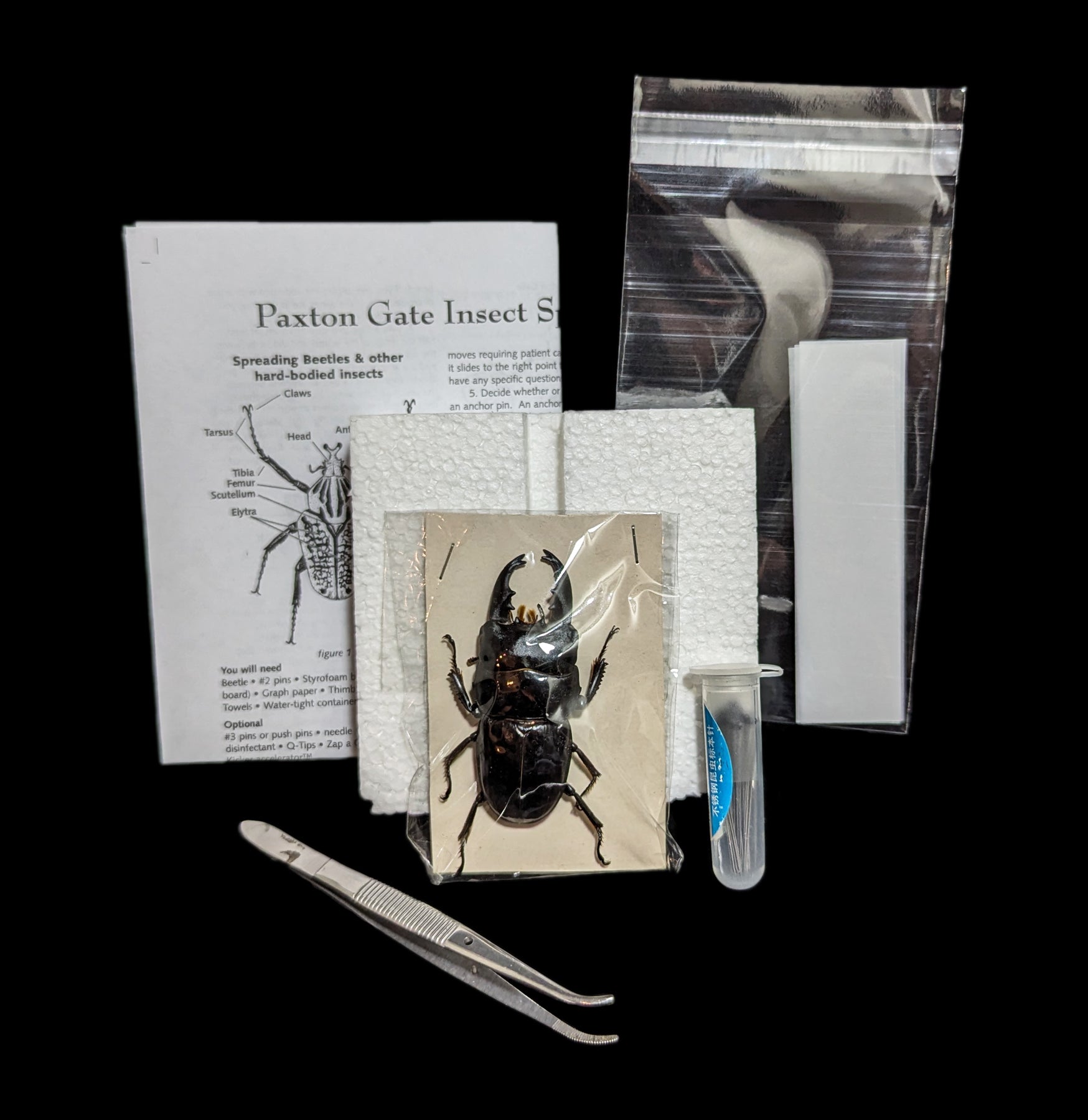 Paxton Gate Premium Insect Spreading Kit - Entomology Display Tools for Butterfly & Bug Collections - Perfect for Science Classrooms, Nature Studies & Taxidermy Hobbyists