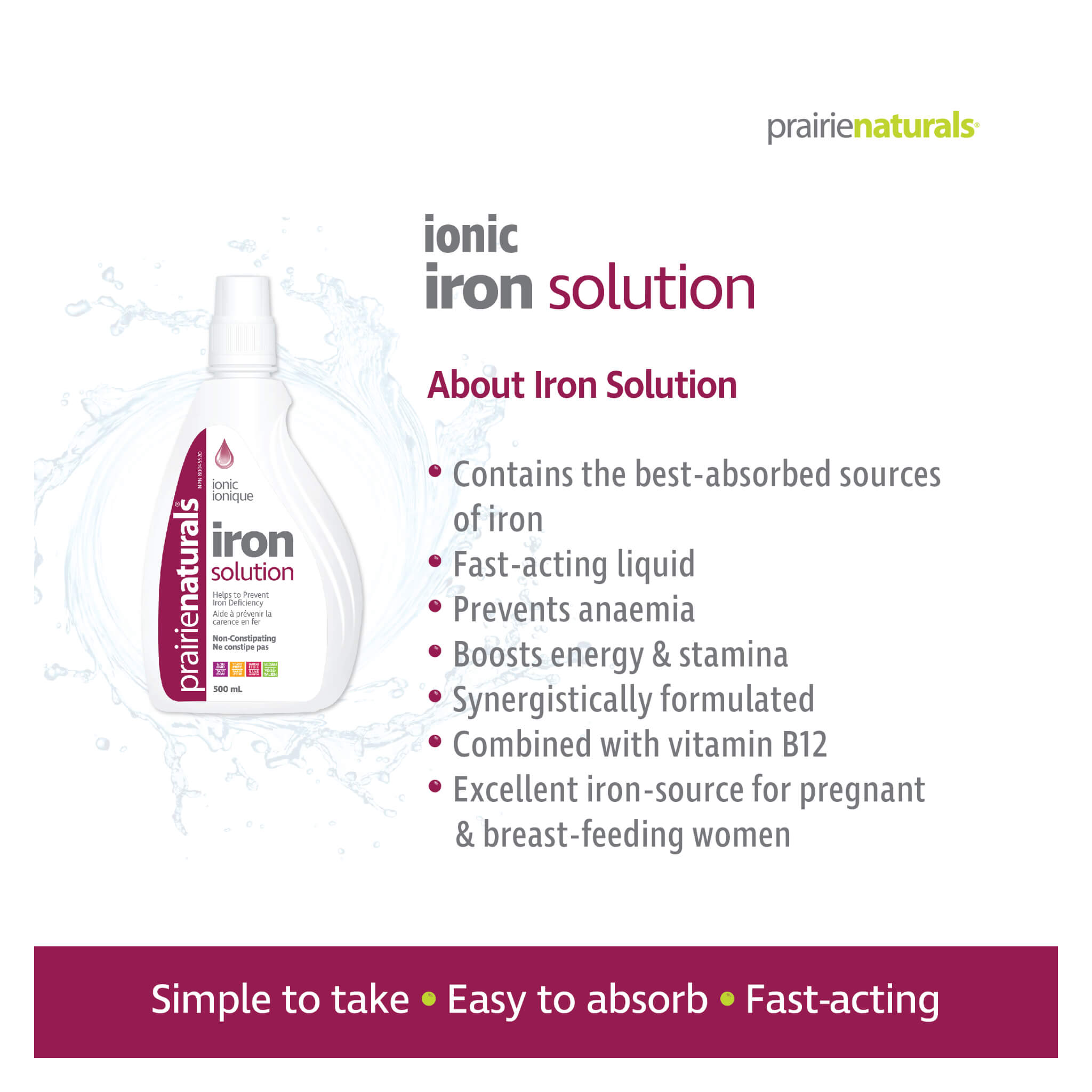 Liquid Ionic Iron Supplement - High Absorption Iron Drops for Energy & Immune Support - Ideal for Anemia, Fatigue & Pregnancy - Vegan & Non-GMO Formula