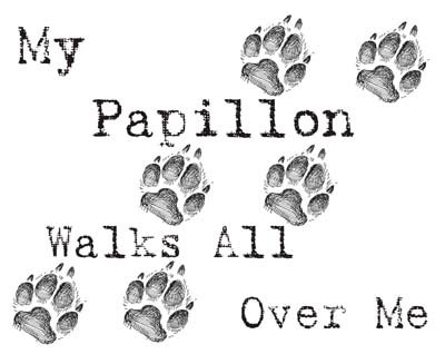Cahoon's Closet My Papillon Walks All Over Me Funny Dog Lover T-Shirt - Perfect Gift for Pet Owners & Dog Walkers