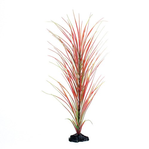 Underwater Treasures Red/Green Hairgrass - 20