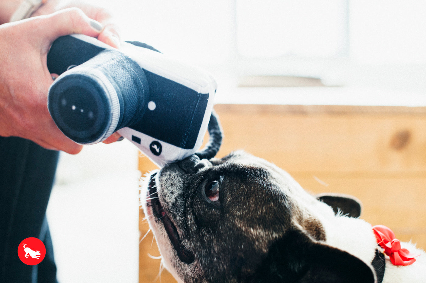 Globetrotter Plush Dog Toy Camera - Durable & Fun Chew Toy for Small & Large Dogs | Perfect for Playtime, Training & Travel