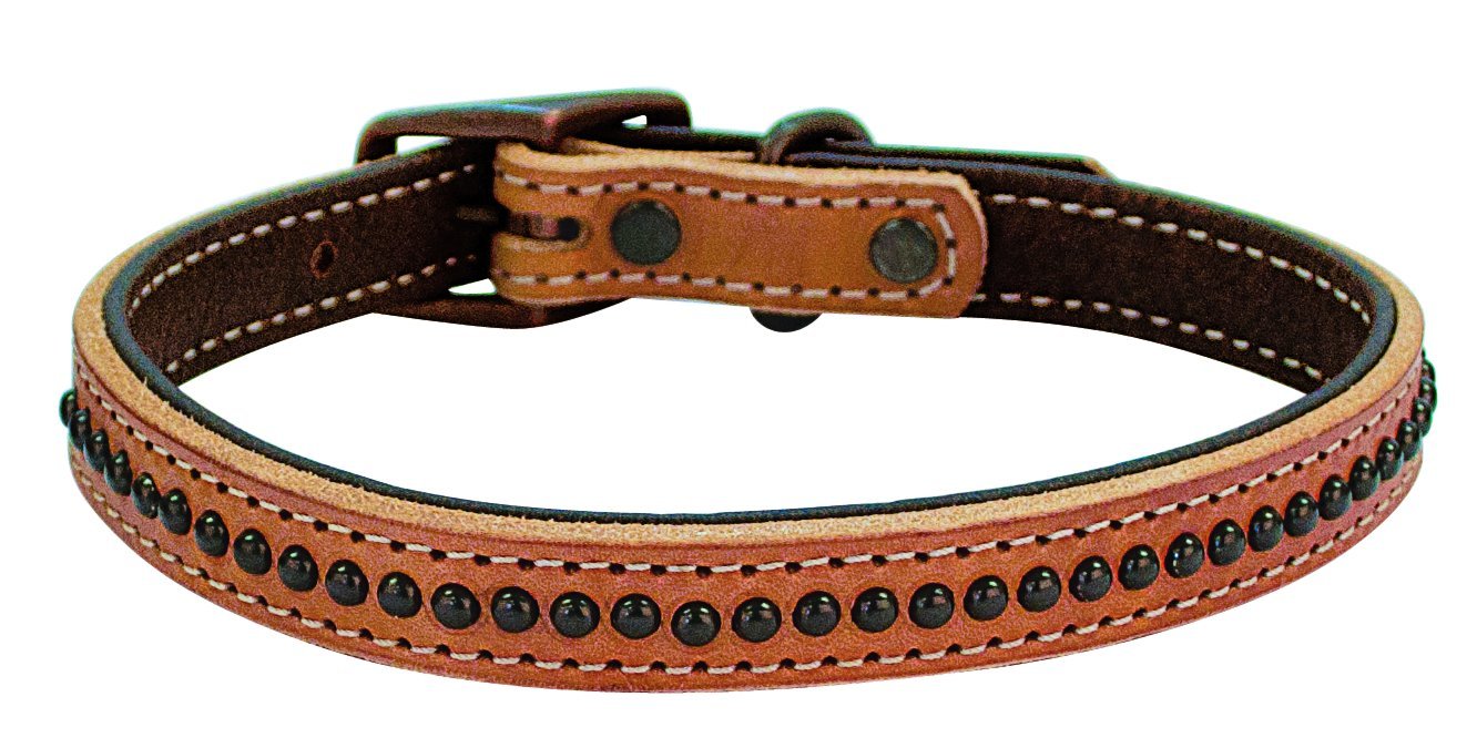 Weaver Pet Outlaw Collar - Durable Dog Collar with Adjustable Nylon Strap for Medium & Large Dogs - Perfect for Walking, Training & Outdoor Adventures