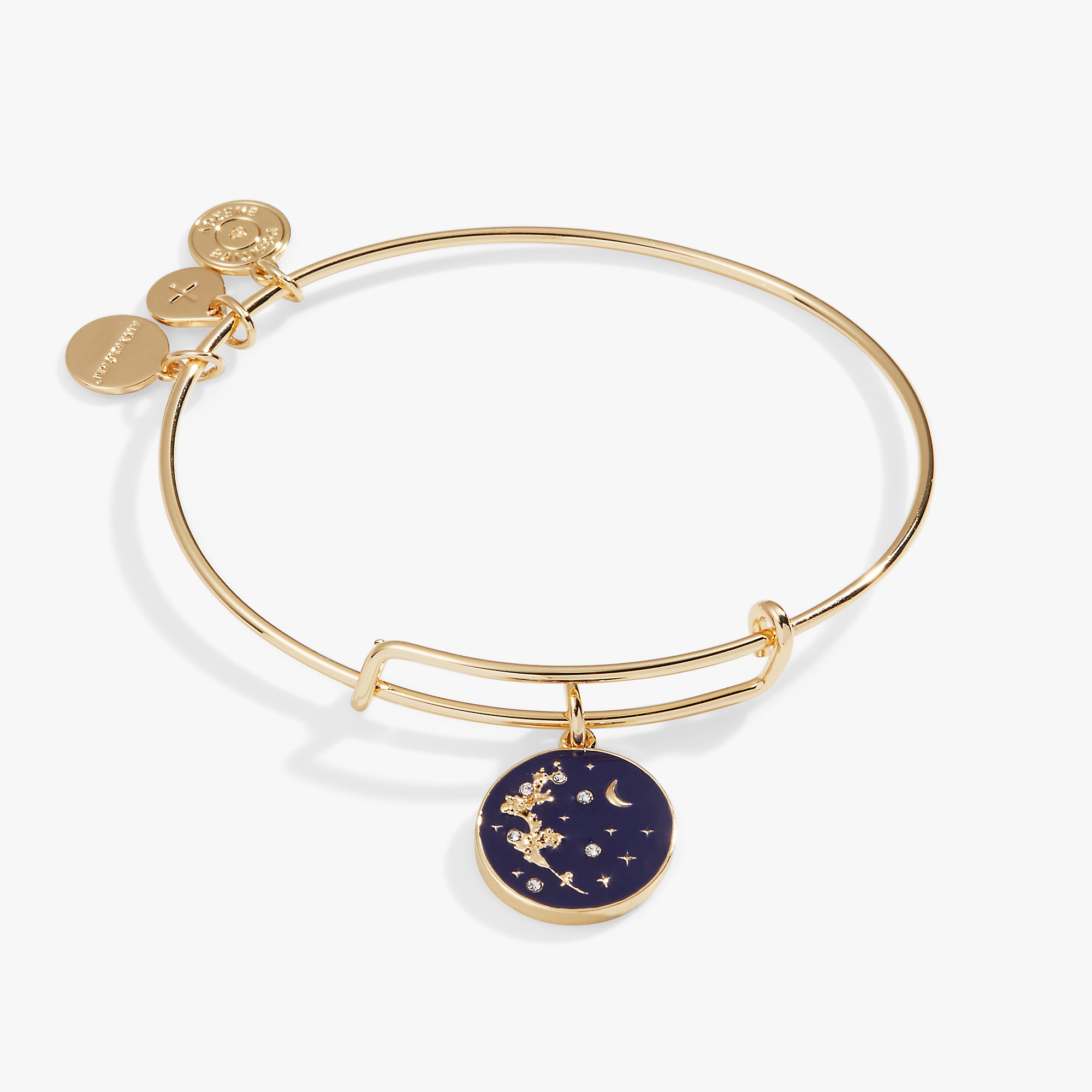 Empower Mimosa Flower Charm Bangle Bracelet - Elegant Gold-Tone Jewelry for Women, Dainty Adjustable Wrist Bracelet - Perfect for Everyday Wear, Gift Giving & Special Occasions