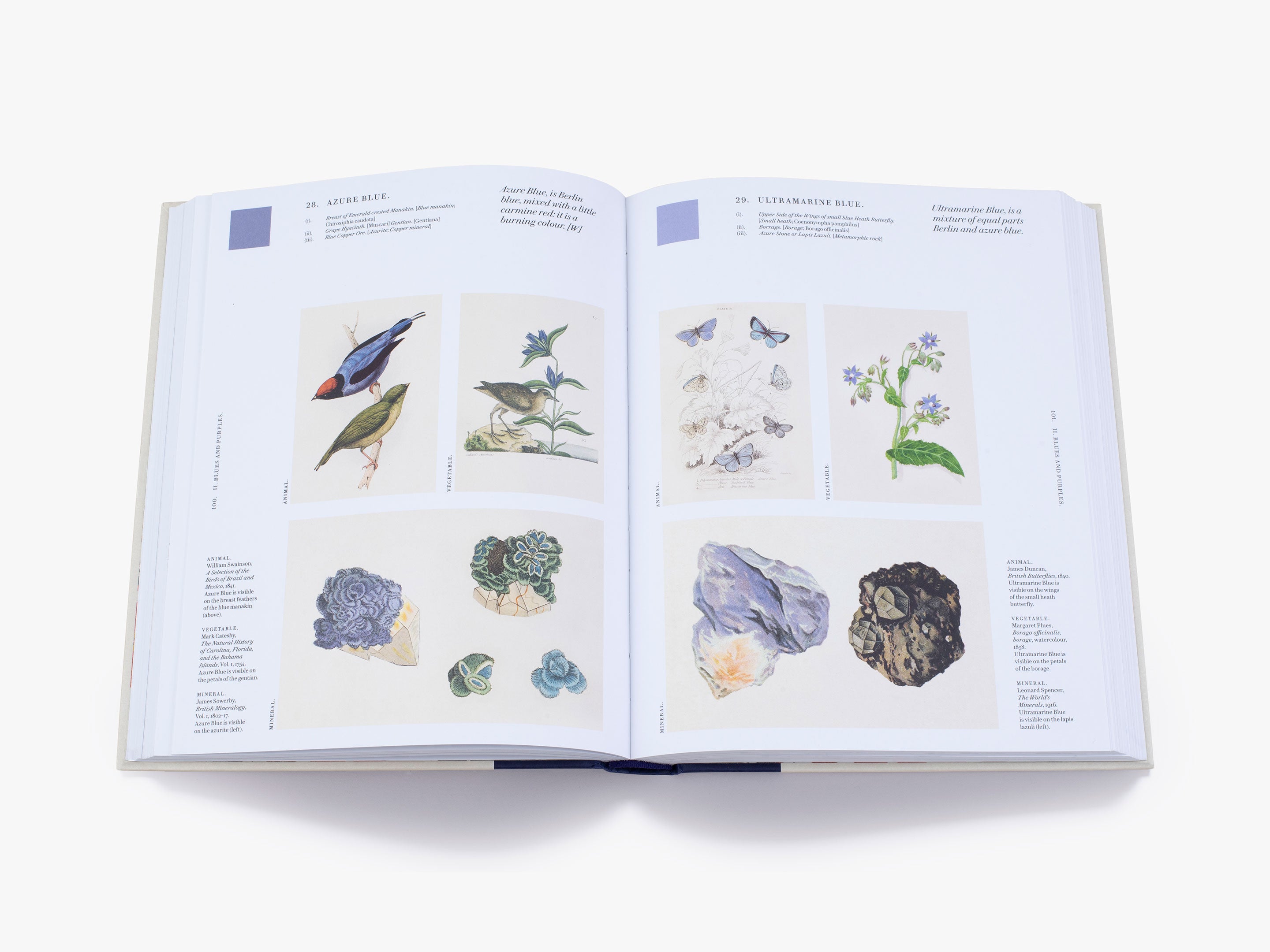 Nature's Palette (Signed Copy) - Vibrant Art Book for Home Decor, Gifts & Inspiration | Perfect for Nature Lovers & Art Collectors