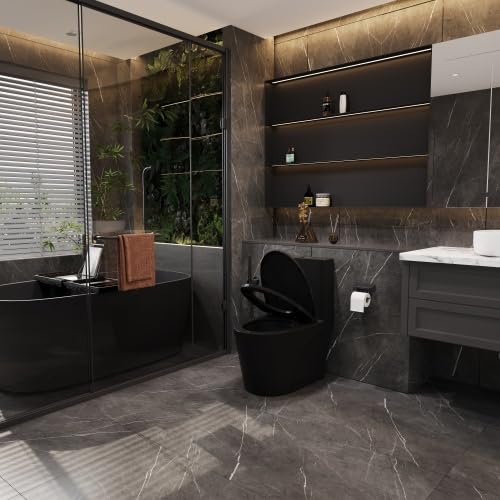 1.1/1.60 GPF Dual-Flush One-Piece Toilet - Water-Saving Elongated Comfort Height Floor-Mounted with Soft-Close Seat - 1000g MAP Flushing Score - Matte Black (23T01-MB-1) - Perfect for Modern Bathrooms & Water Conservation