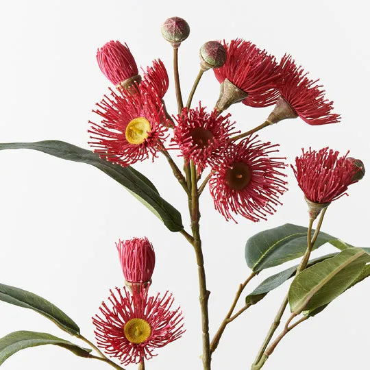 Red Eucalyptus Flowering Spray - Natural Dried Floral Decor for Home, Wedding, and DIY Crafts | Perfect for Bouquets, Centerpieces, and Rustic Decorations
