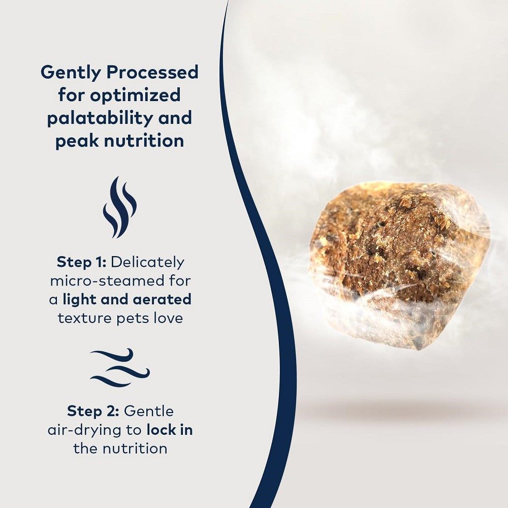 Premium Grass-Fed Beef & Pumpkin Dog Food - Steam & Dried for Optimal Nutrition | Healthy Treats for Dogs of All Sizes | Perfect for Training, Rewards & Digestive Health