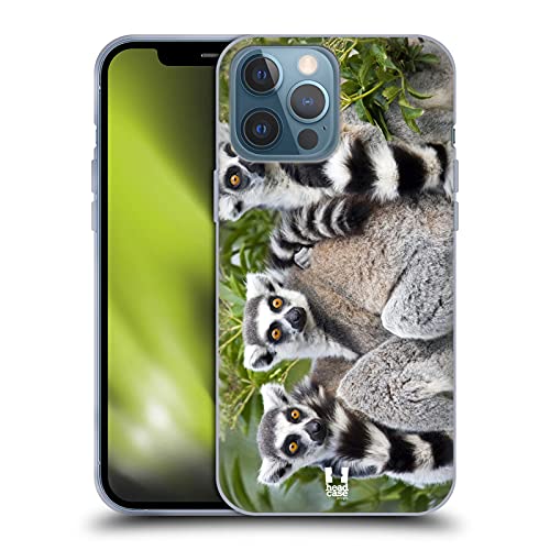 Ring Tailed Lemur