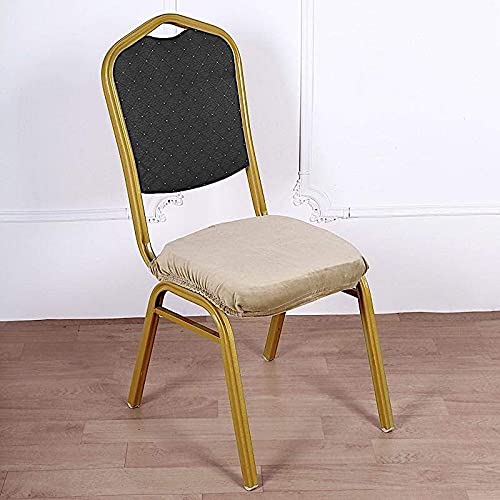 Balsa Circle Champagne Velvet Stretchable Chair Seat Cushion Cover - Soft & Durable Dining Chair Slipcover for Home, Office, Restaurant Decor