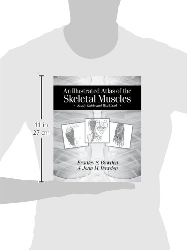 Anatomy Study Guide: Illustrated Atlas of Skeletal Muscles - Workbook for Medical Students & Healthcare Professionals | Perfect for Classroom Learning & Clinical Reference