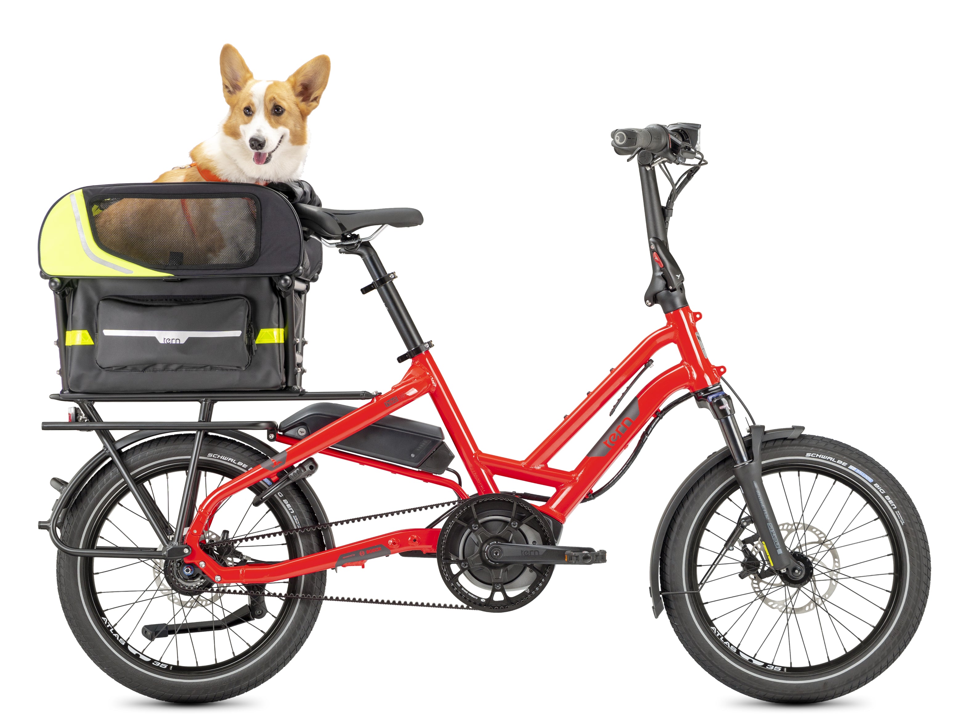 Tern Dog Roof Mini - Portable and Durable Dog Car Rooftop Carrier for Small to Medium Dogs - Perfect for Travel, Camping, and Outdoor Adventures