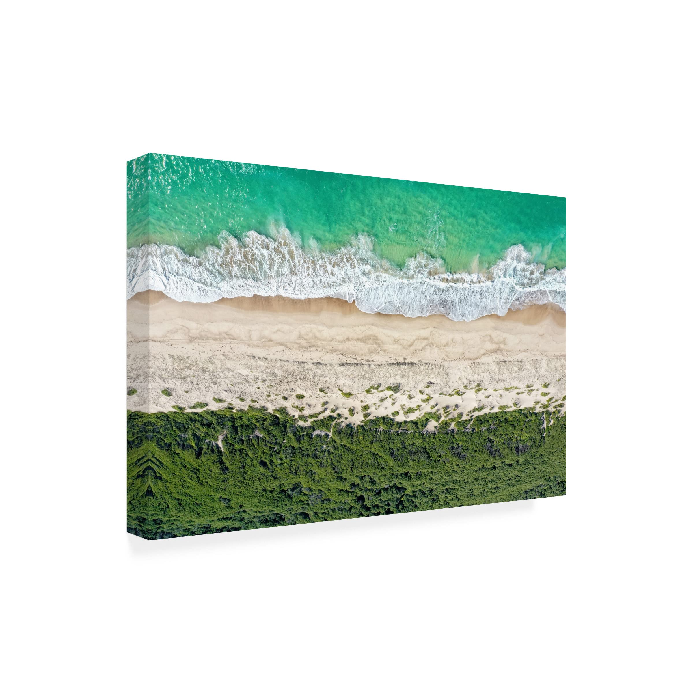 Trademark Fine Art 'Beach Symphony' Canvas Wall Art by Beata Czyzowska Young - Coastal Home Decor for Living Room, Bedroom & Office
