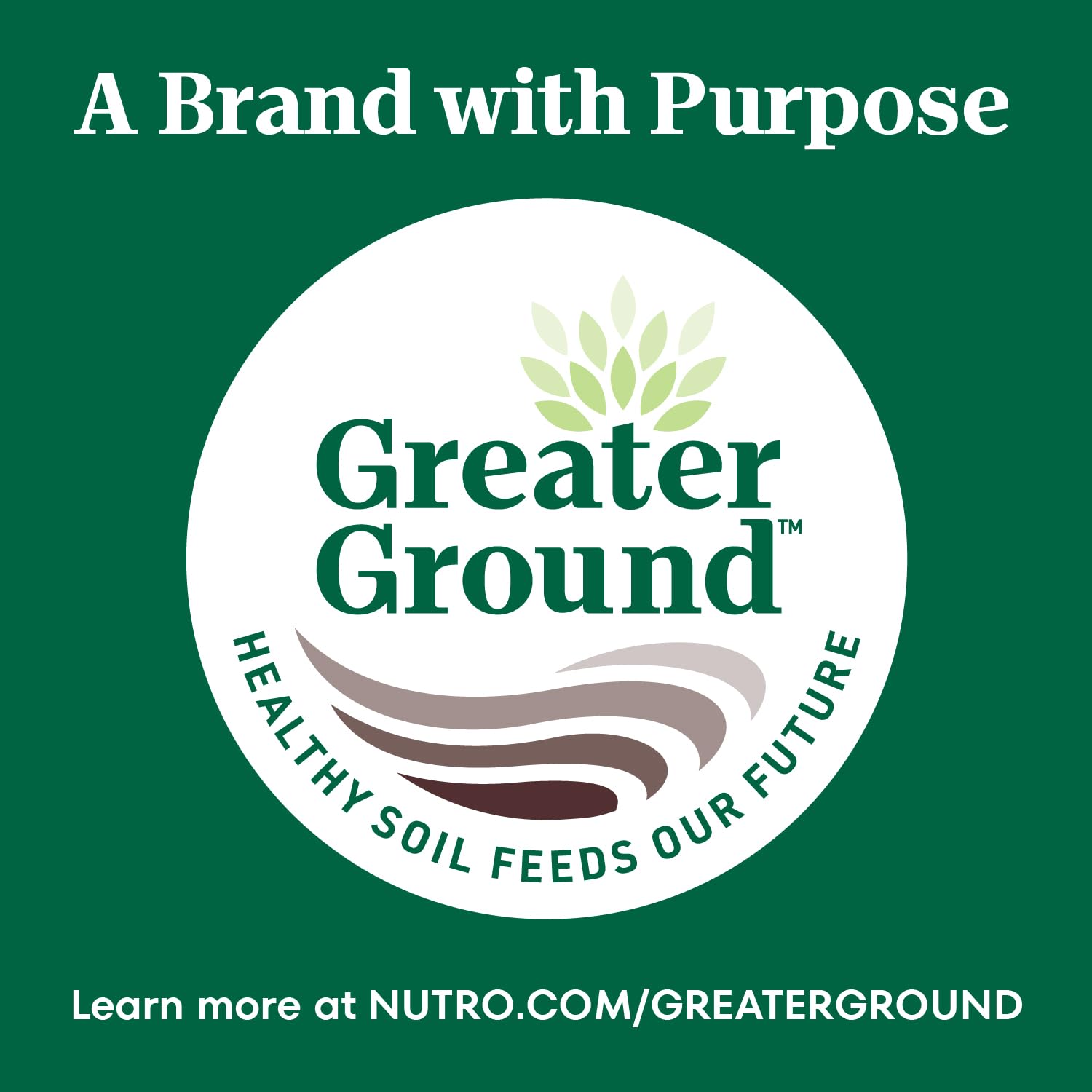 Nutro Natural Choice Senior Large Breed Dry Dog Food - Chicken & Brown Rice Recipe, 30 lb Bag | High Protein for Joint Health & Digestion | Ideal for Aging Large Dogs at Home or Travel