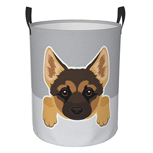 German Shepherd Dog