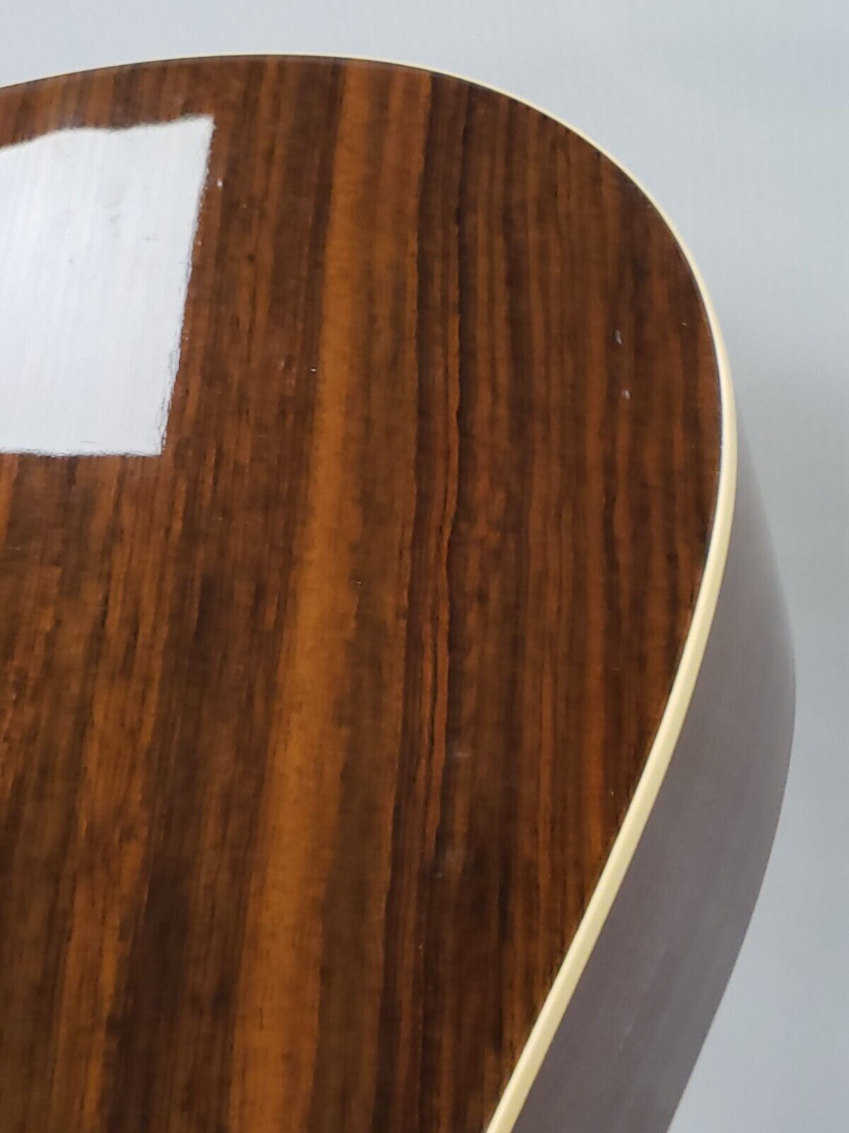 Seagull 22601 Acoustic Guitar - Premium Handcrafted Solid Wood Guitar for Beginners & Professionals - Perfect for Home, Studio & Live Performances