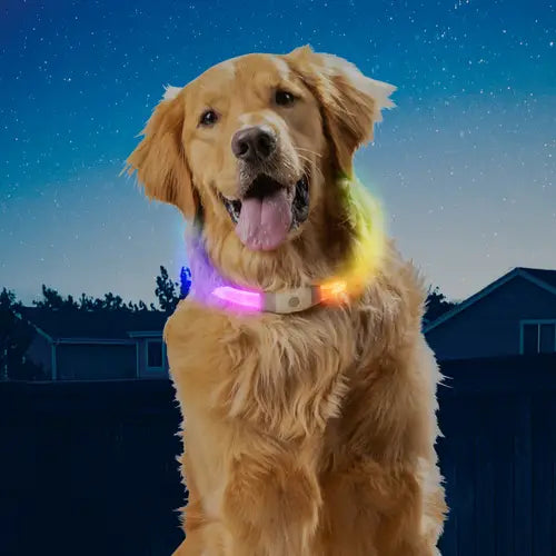 Nite Ize NITEHOWL® Max Rechargeable LED Safety Necklace with Disc O Select™ - High Visibility Reflective Dog Collar for Night Walking, Running & Outdoor Activities