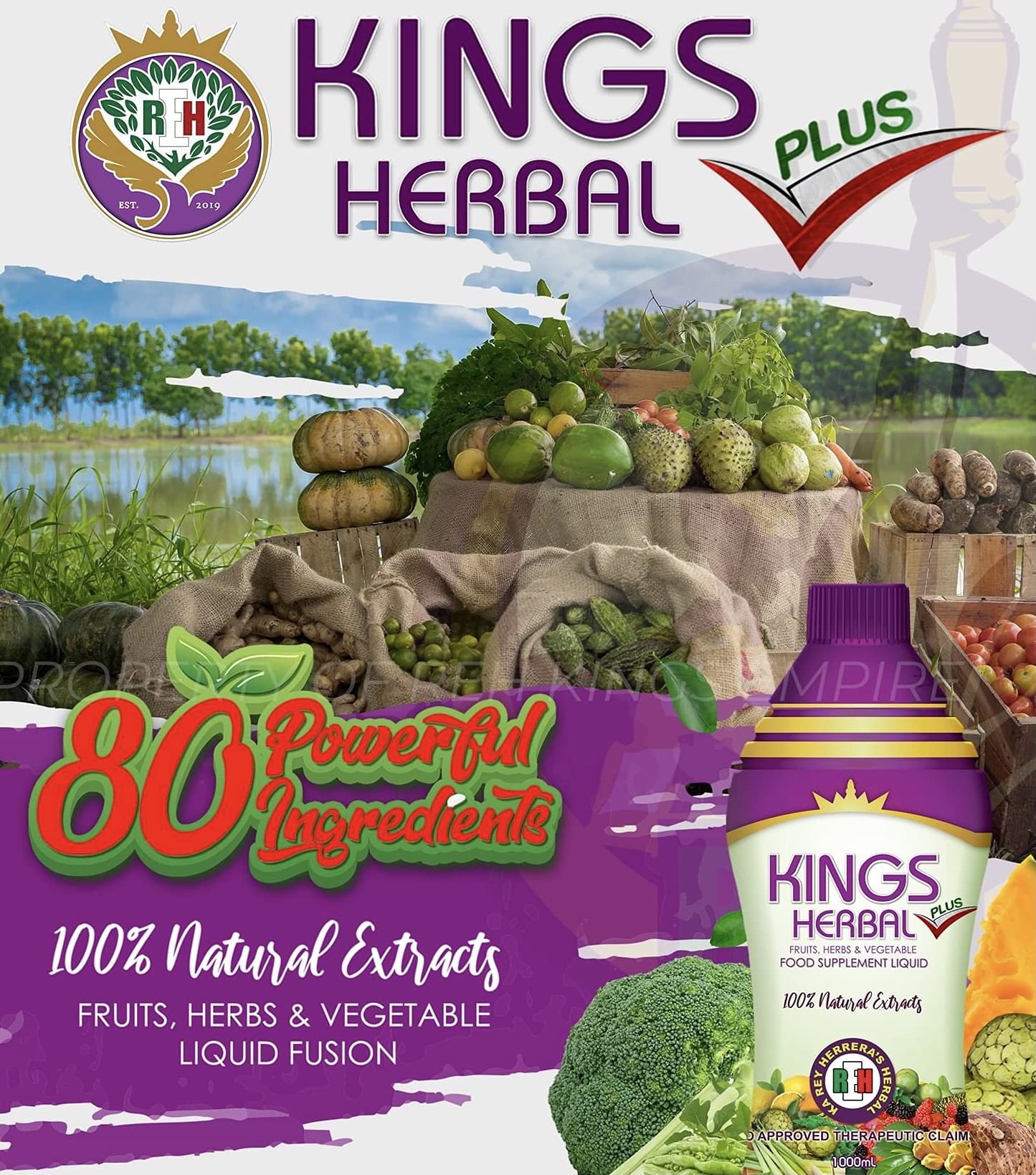Plus Food Supplement 1000ml - Natural Fruits, Herbs & Vegetable Fusion (2 Bottles) | Immune Support & Daily Wellness Boost | Perfect for Busy Professionals & Health-Conscious Families