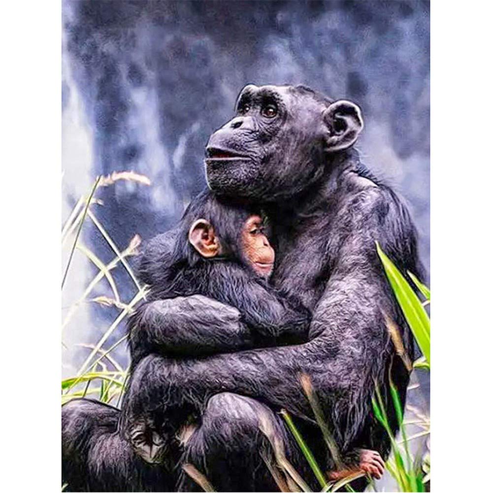 5D Diamond Painting Kit for Adults & Kids - Orangutan Full Drill Round Crystal Rhinestone Art (30x48 Inch) | DIY Cross Stitch Embroidery Craft for Home Wall Decor, Gift & Stress Relief | Perfect for Living Room, Bedroom & Office Decoration