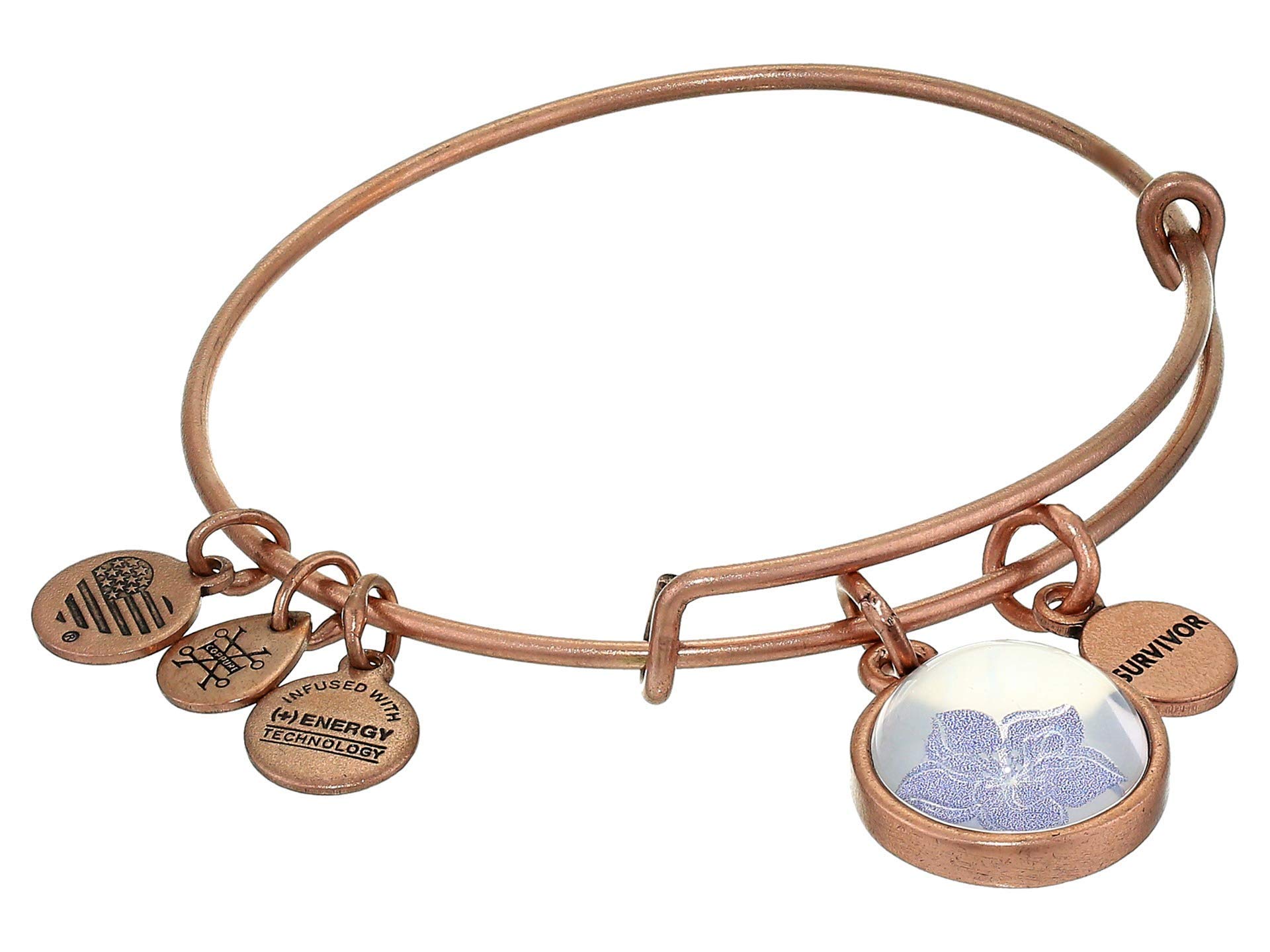 Alex and Ani Duo Charm Mantra Bangle Bracelet - Inspirational Adjustable Bangle for Women - Perfect for Yoga, Meditation & Everyday Wear