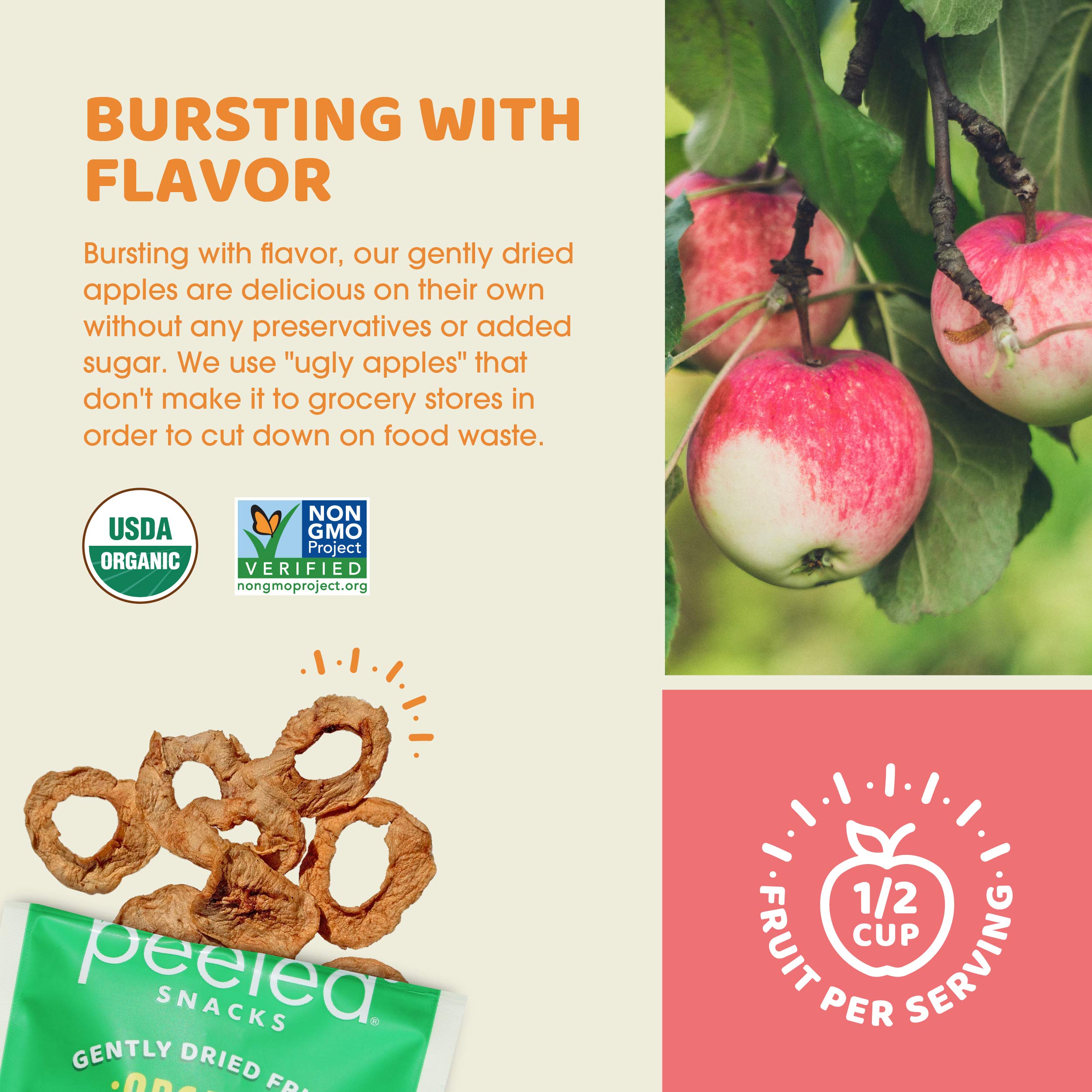 Organic Dried Apple Slices, 2.8 oz (Pack of 12) | Vegan, Gluten-Free Healthy Snacks for Kids & Adults | Perfect for Lunch Boxes, Hiking, Office & On-the-Go Snacking