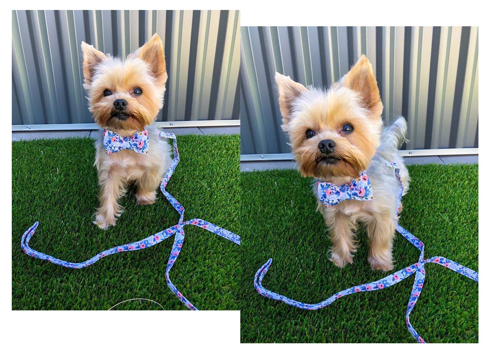 Stylish Adjustable Dog Collar with Bow Tie - Fashionable Pet Collars for Small Medium Large Dogs & Cats - Perfect for Weddings, Parties & Daily Walks