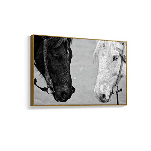 Blackanimal-h03