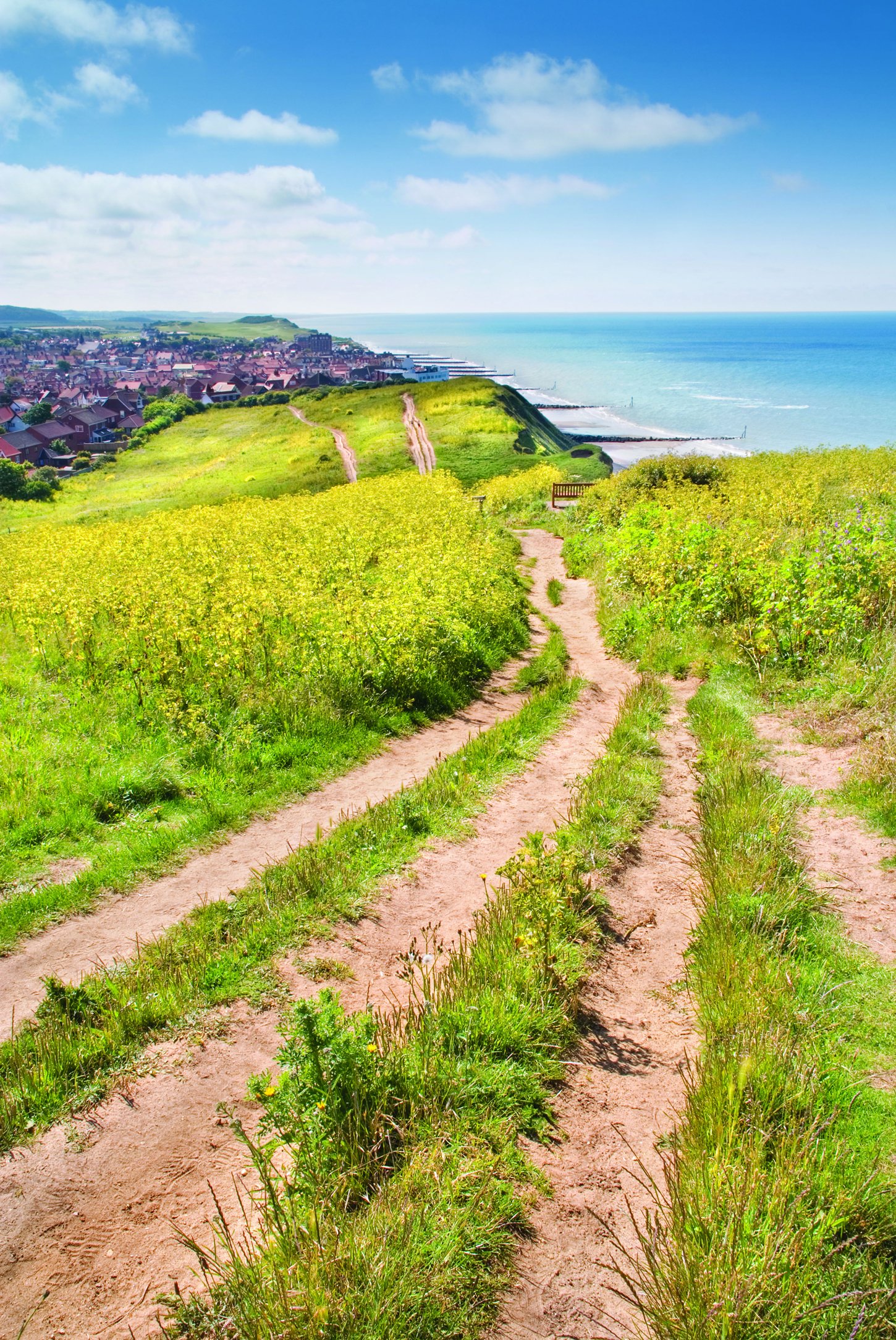Peddars Way and Norfolk Coast Path - Scenic Hiking Trail Guide for Outdoor Enthusiasts | Explore Stunning UK Countryside Walks & Coastal Views