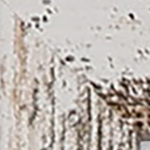 Distressed White