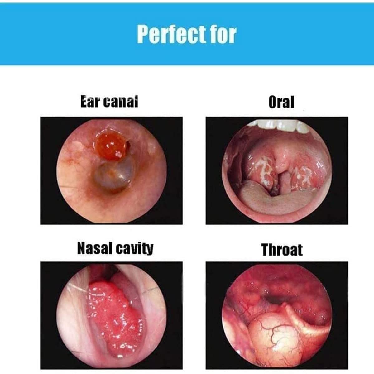 Ear Wax Removal Tool with Camera & LCD Screen - Multifunctional Ear Endoscope Cleaner for Safe Wax Removal - Includes Storage Case - Perfect for Home Use, Travel, and Personal Hygiene Care