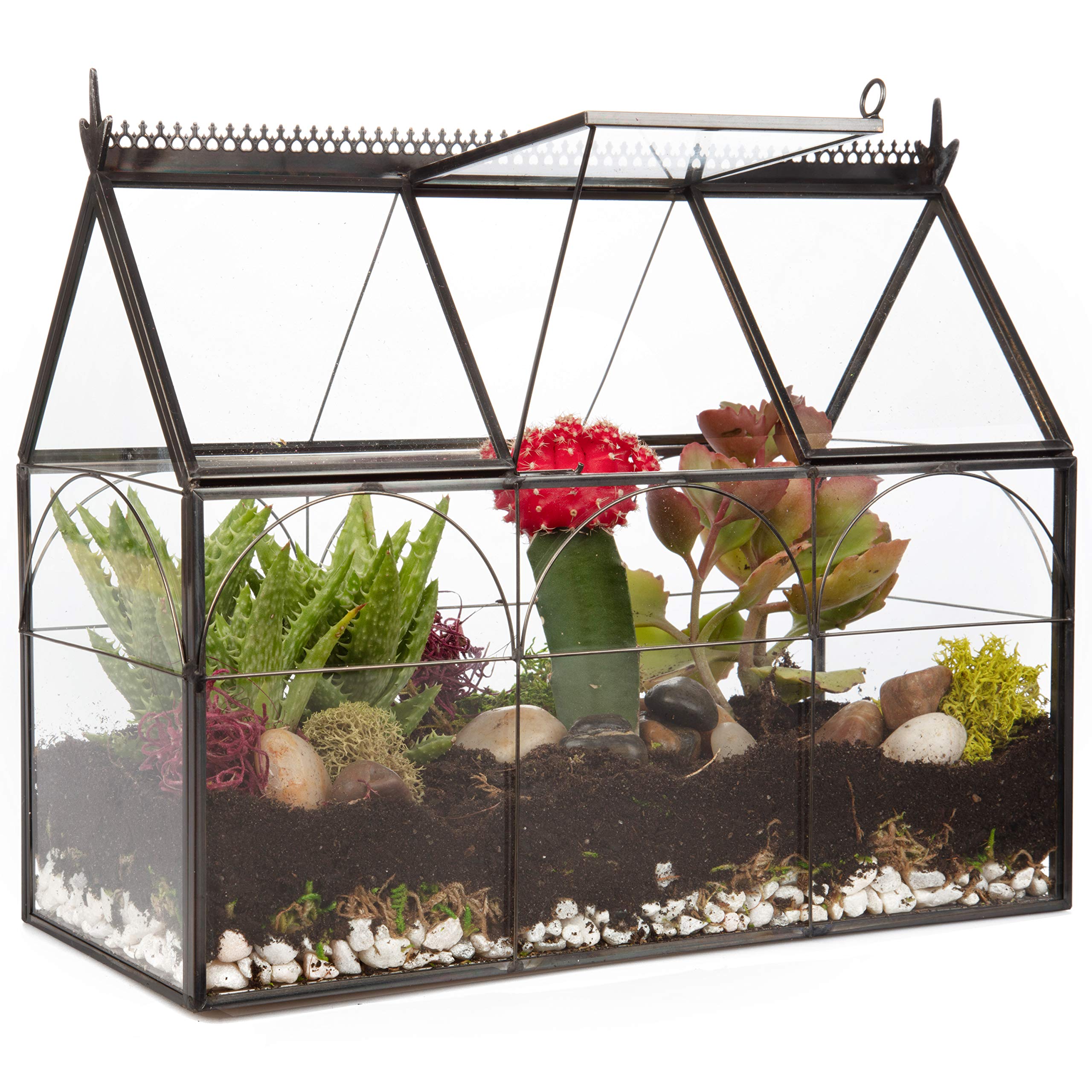 Decorative Glass Greenhouse Terrarium (10x4.5x9 Inches) - Indoor Tabletop Black Hinged Geometric Planter for Succulents, Air Plants, Moss & Ferns - Modern Home, Office & Garden Decor - Perfect Gift for Plant Lovers - Ideal for Windowsills, Desks & Shelf Displays