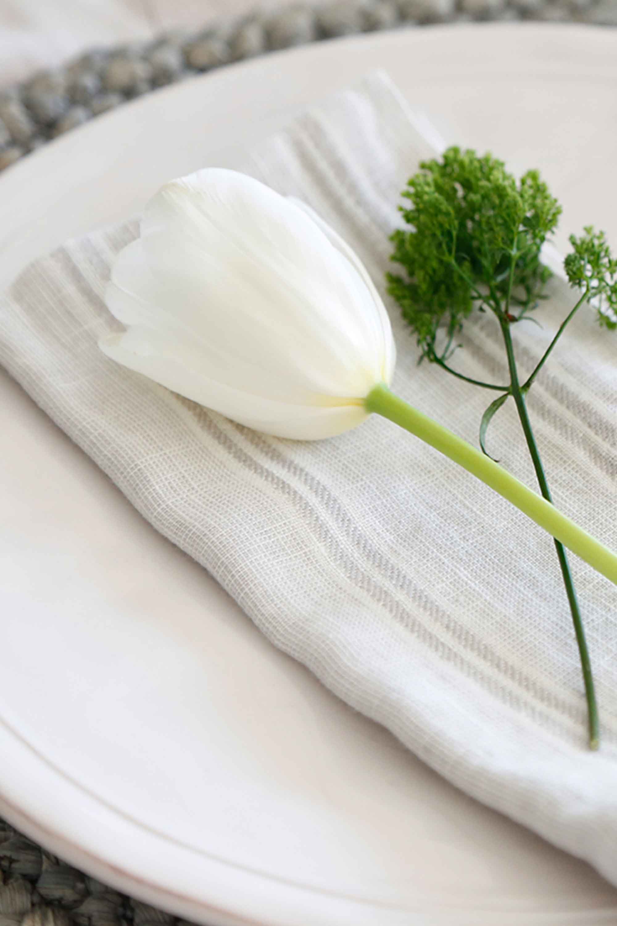 Premium 100% Cotton Mendocino Napkins - Soft & Absorbent Dinner Napkins for Everyday Use, Parties & Fine Dining - Set of 12 (White)