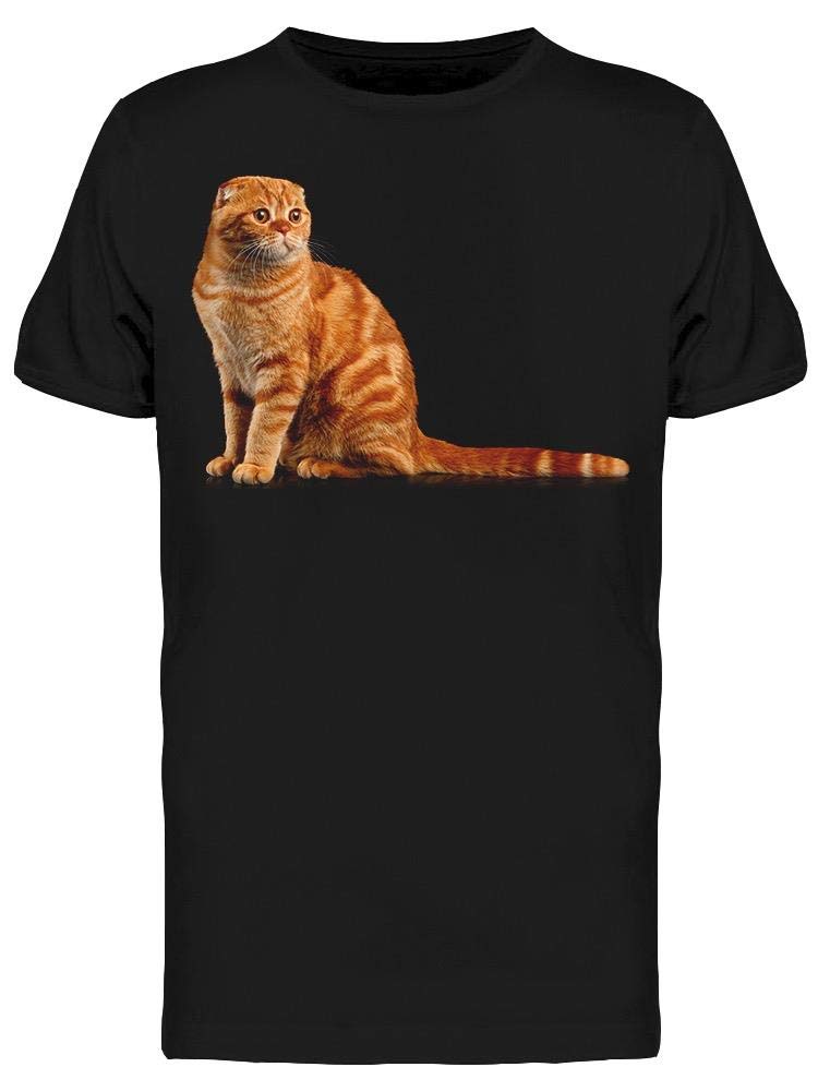 Stylish Big Cute Striped Cat Graphic T-Shirt for Men - Casual Cotton Tee for Everyday Wear, Street Fashion & Cat Lovers