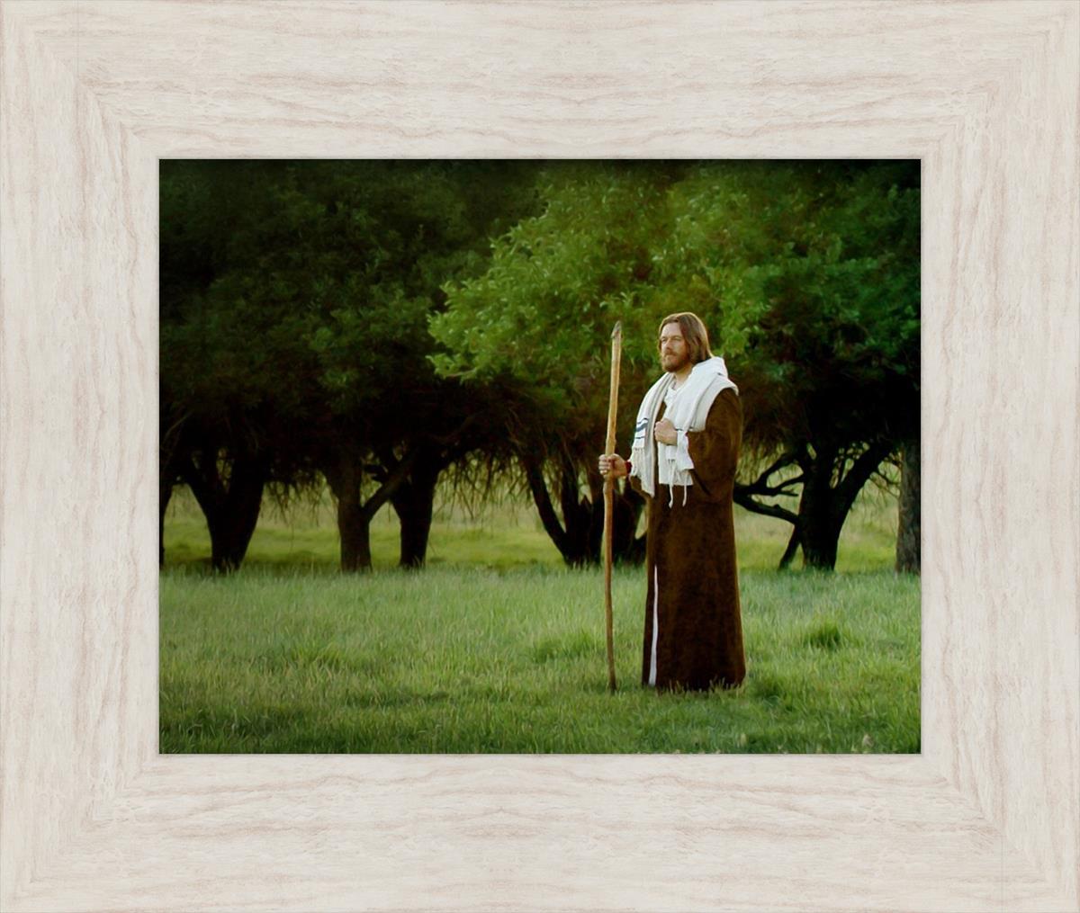 Lord Of The Vineyard - Premium Wine Accessories & Gifts for Wine Lovers | Perfect for Wine Tasting Parties, Vineyard Weddings & Home Decor